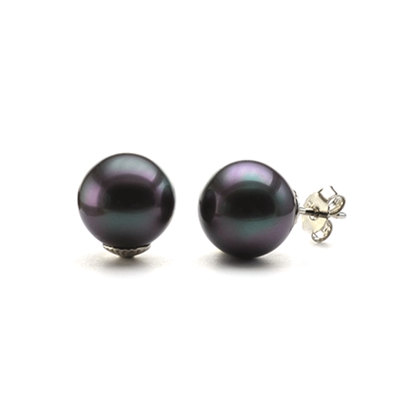 Boucles D'oreilles Perles Noires De Tahiti - Coquillage Ton Paon - Crochets Dorés